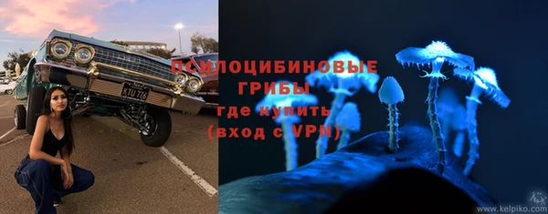 спиды Верея