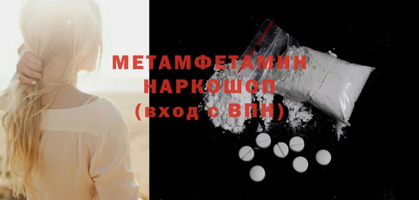 индика Бородино