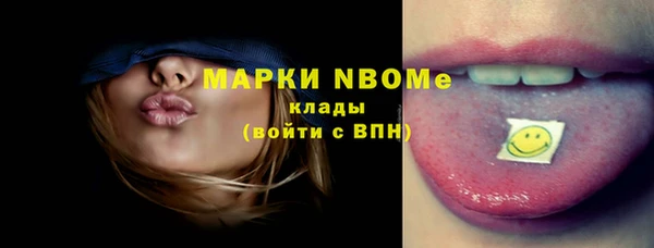 индика Бородино