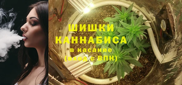 индика Бородино