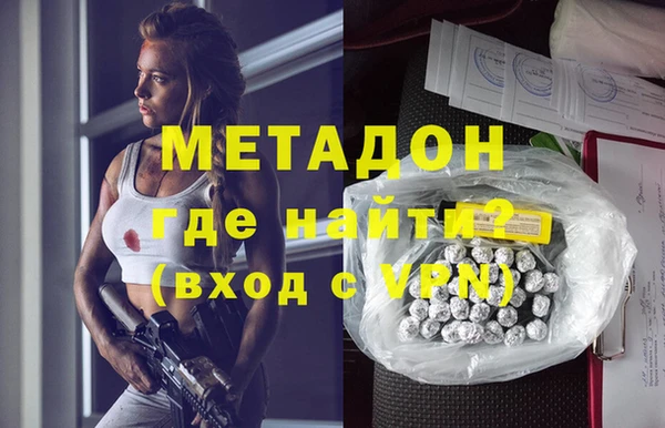 индика Бородино