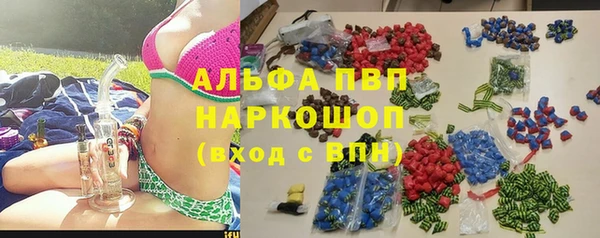 индика Бородино