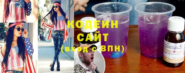 индика Бородино