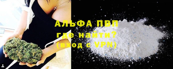 индика Бородино